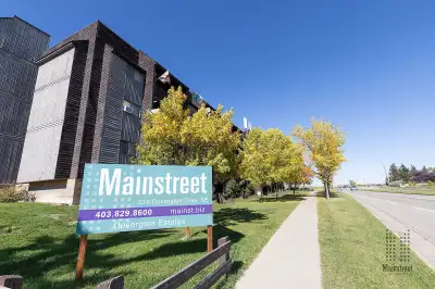 1 bedroom 1 bathroom apartment for rent
