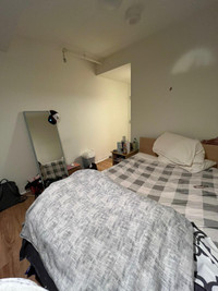 Downtown, Ottawa, LOOKING FOR student FEMALE SUBLET.