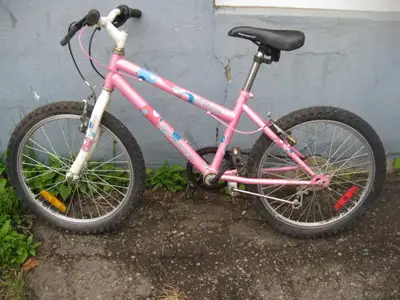 20", 5 speed, pink, Flare Sportek bike; handle bar grip brakes., View more