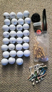Golf balls 31 and 40 golf tees with brush most of which is new