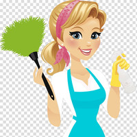 $30 Professional Cleaning lady 20Yrs Exp 778/8868775 Rose