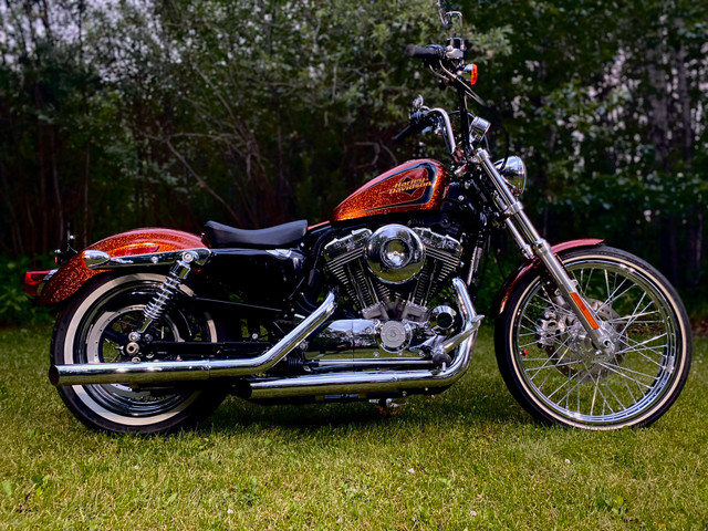 1200 sportster chopper