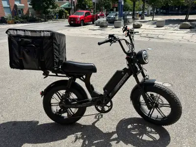 Electric Cargo Bike Dual Suspension!, View more