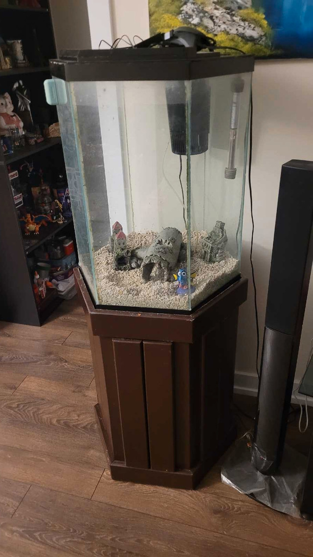 Fish tank and stand for sale  in Accessories in La Ronge - Image 3