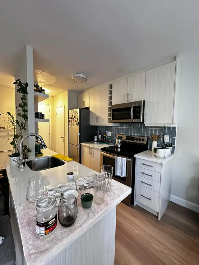 Private Room for Rent – Prime North York Location (Near Lawrence in Room Rentals & Roommates in City of Toronto - Image 7