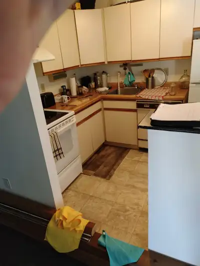 I have small kitchen for sale, cabinets+appliances. I do need the fridge until the end July when my...