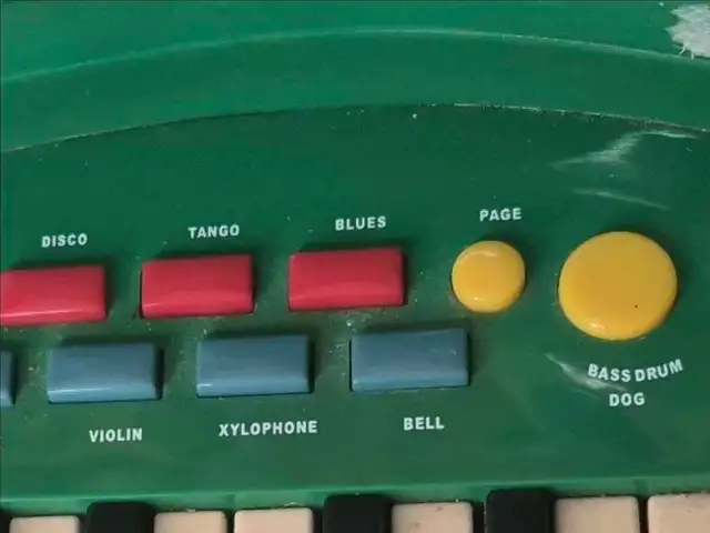 Alligator Animal Keyboard in Toys in Windsor Region - Image 6