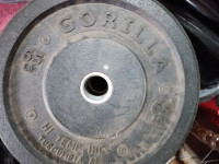 Olympic Bumper Plate Weights