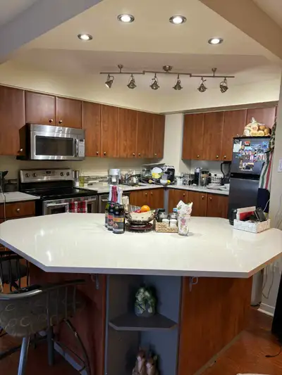 2 bed 2 bath luxury condo for rent