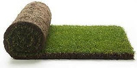 Fresh Cut Kentucky Bluegrass Sod. Free Delivery.  Now Serving KW