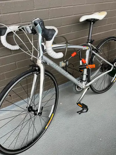 Dolce Elite Bike, View more