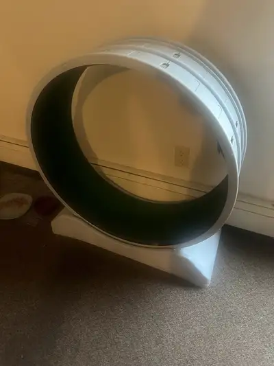 cat treadmill, View more