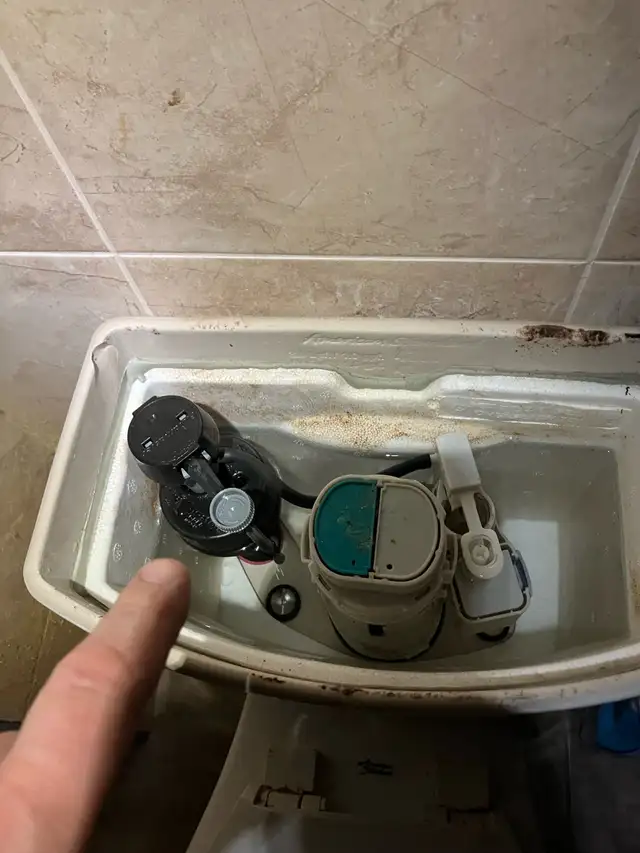 Etobicoke plumber530287377861857285