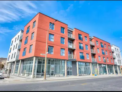 Fantastic one bedroom apartment for rent