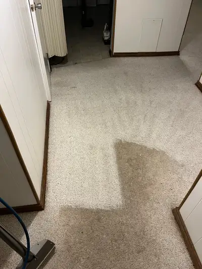 Professional Carpet Steam Cleaning  - TRUCKMOUNTED SYSTEM, View more