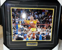 Hulk Hogan WWF T-Shirt Tear Signed 16x20 Framed