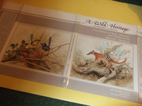 Australian Wildlife artist Signed by the artist / Australia