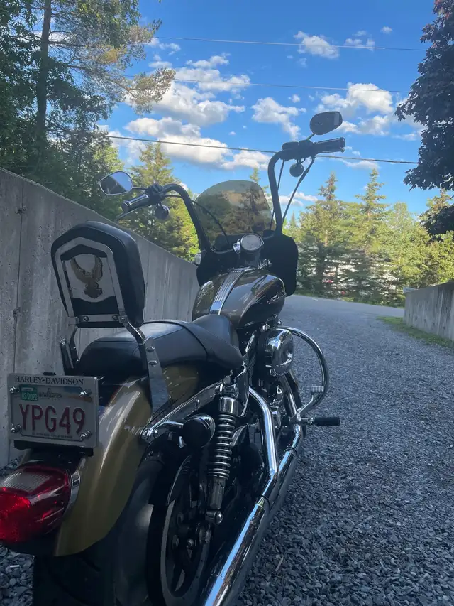 2007 Harley Davidson 1200 in Street, Cruisers & Choppers in Saint John - Image 3