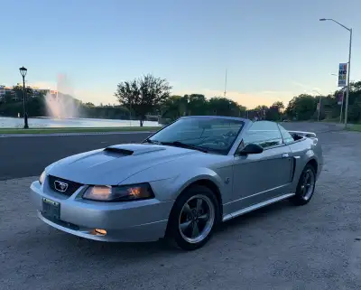 2004 Ford Mustang GT convertible 40th anniversary edition 4.6L V8 w/Auto Trans Bullit Rims Mach Ster...