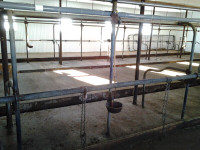 12 Stalles de 8 pieds pour vaches