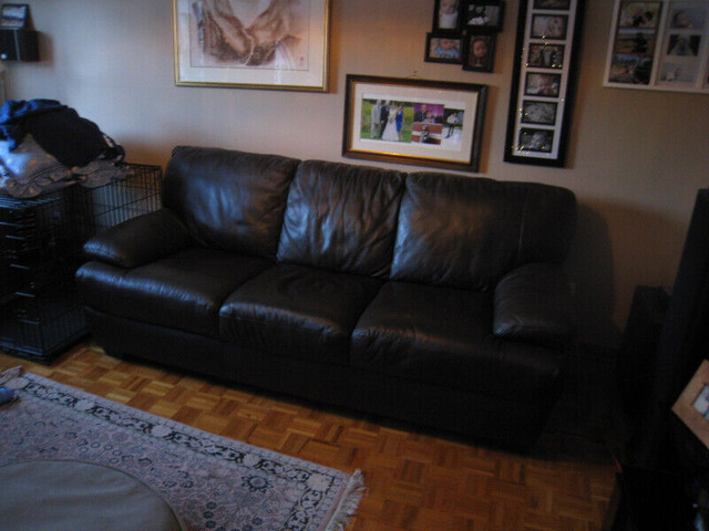 Natuzzi couch dans Sofas et futons  à Ville de Montréal