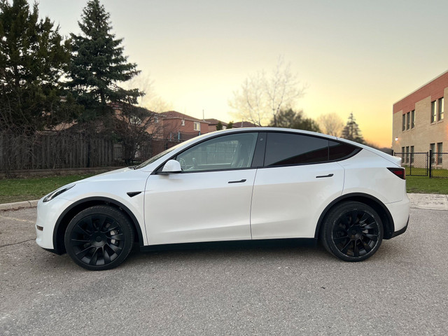 Tesla Model Y | Cars & Trucks | Mississauga / Peel Region | Kijiji
