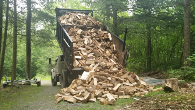 Pick-Up / Delivery - Premium Ontario Hardwood Firewood in Fireplace & Firewood in Markham / York Region - Image 2
