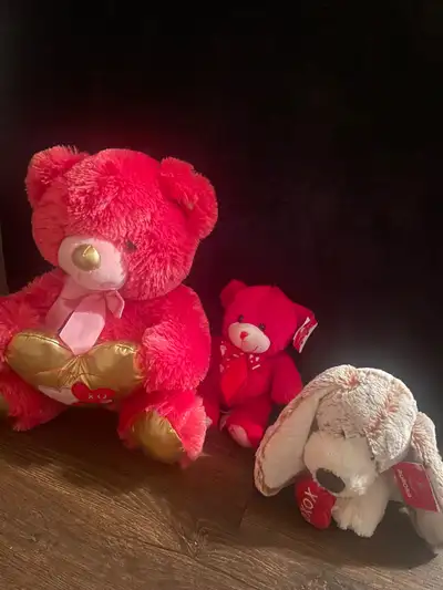Valentine’s Day Bears, View more