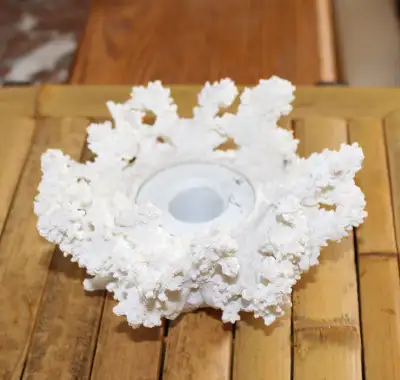 Rare white coral candle holder, View more