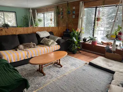 I am giving away my mobile home for almost free, asking 5000$ as there is new oil furnace, doos and...