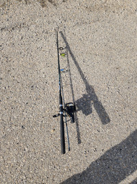 2 hd spinning rods with reels for salmin or lake troute