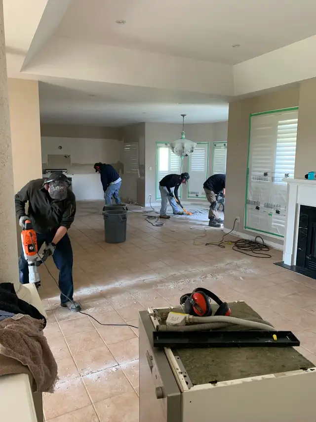 Handyman, General Contractor 540256311035842569