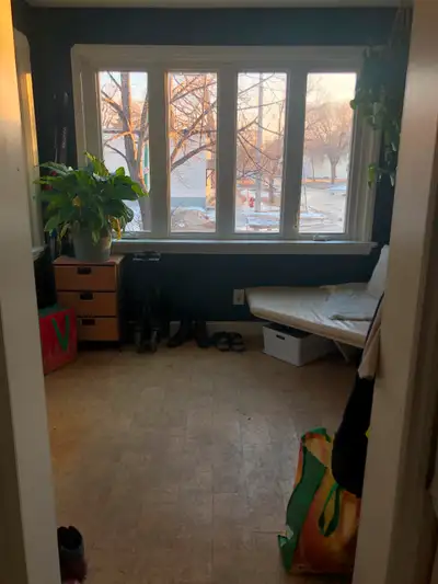 Female Roommate Wanted