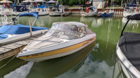 2003 Sting Ray 18 Ft Boat For Sale