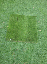 Artificial grass pad
