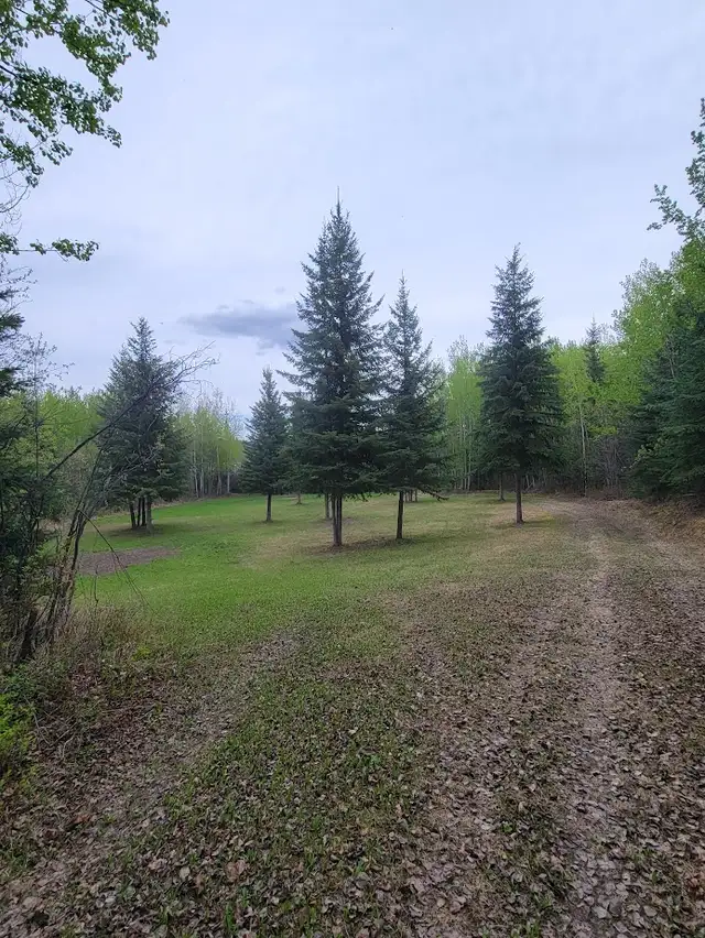Vacant Land. in Land for Sale in Burns Lake - Image 9