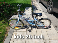 Kids 20 inch Raleigh bike