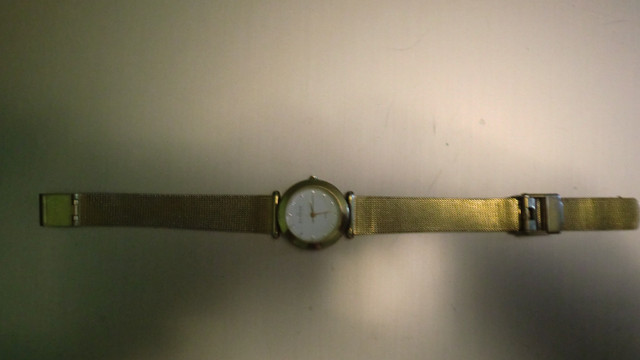 Women's Skagen Stainless Steel Watch (Gold Tone) in Jewellery & Watches in City of Halifax - Image 3