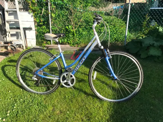 Cypress by Giant bicycle, Orleans in Cruiser, Commuter & Hybrid in Ottawa - Image 2