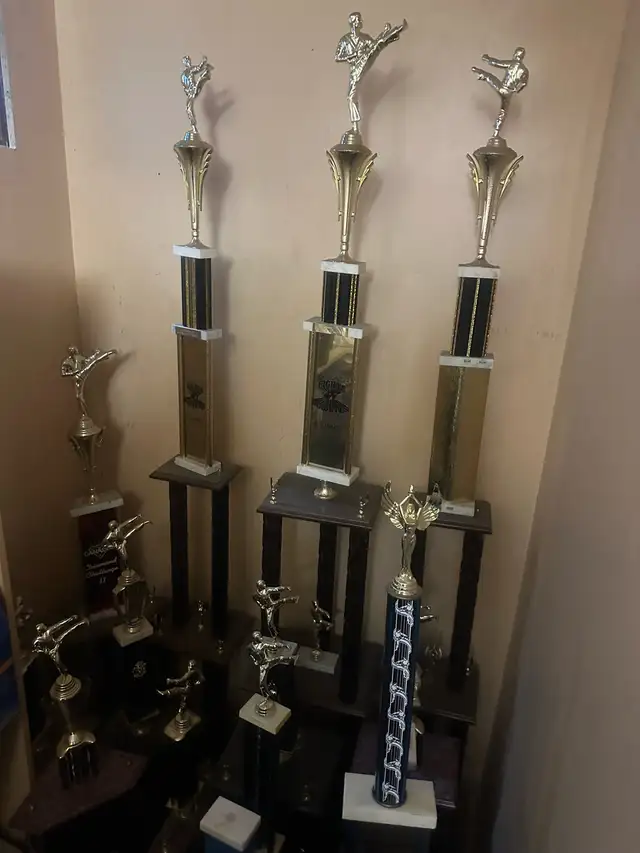 karate Trophies 