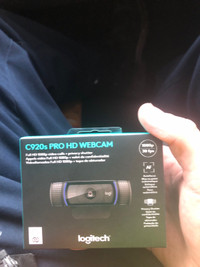 Webcams and Logitech rally mic pod