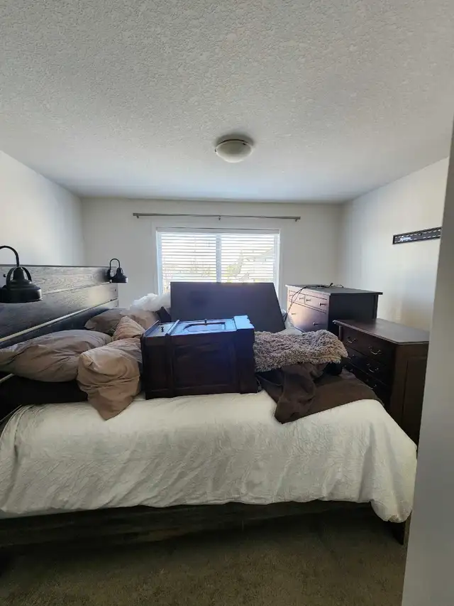Calgary Painters – Premium Quality | Interior & E498576924230307842