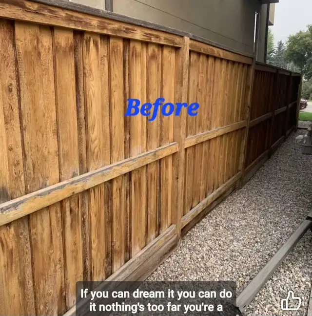 Ed The Painter475927864243671042