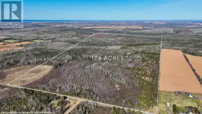 174 acre tree farm just minutes outside the town of Morell and St. Peters Bay, Plantation completed...