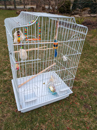 Cage oiseau avec pieds et accessoires