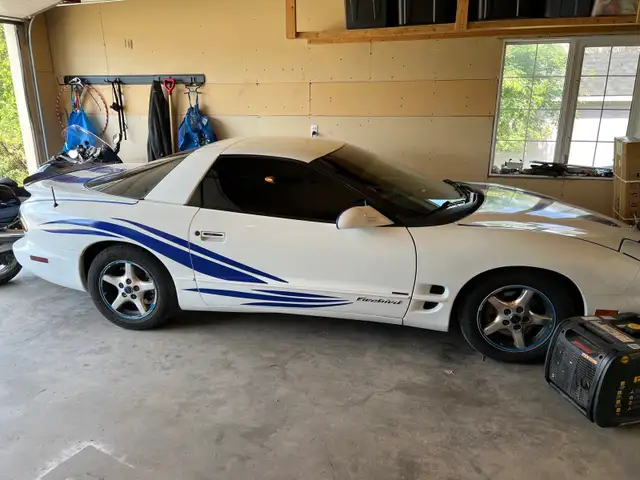 beautiful 98 firebird576046251315056641
