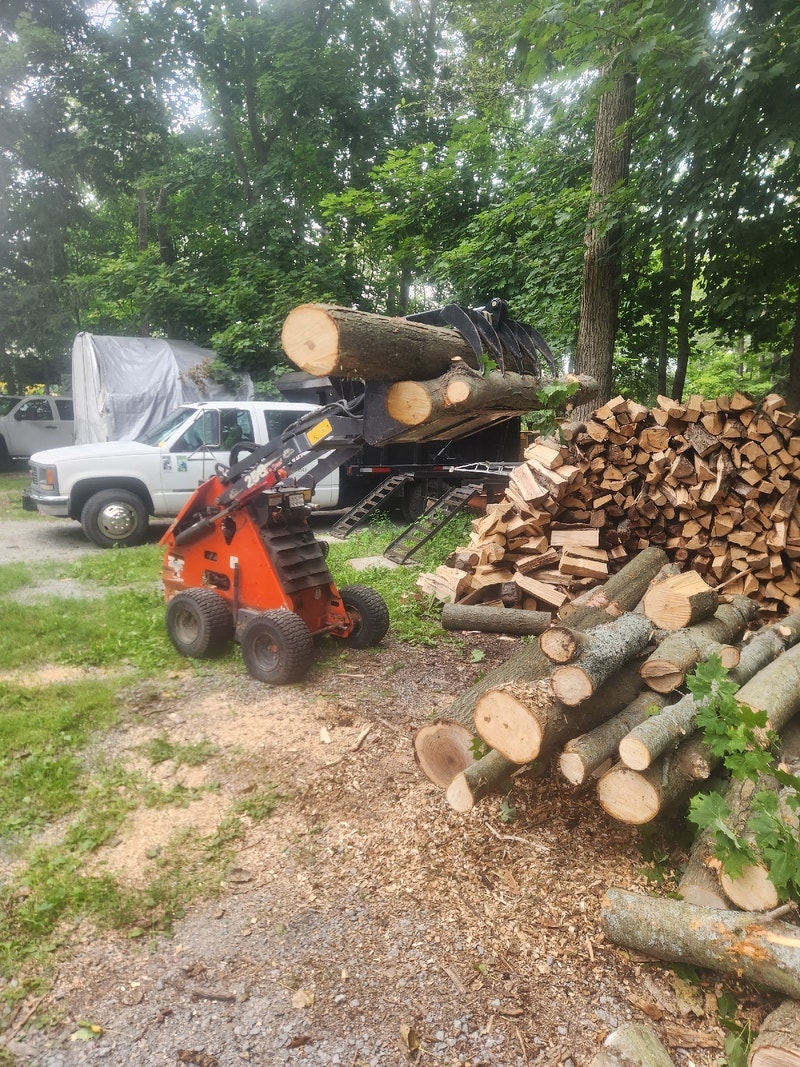 Mini skid Farming Equipment Kawartha Lakes Kijiji