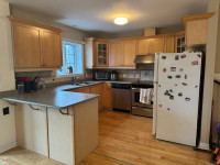 Kitchen cabinets + kitchen appliances for sale