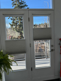 Blinds for French door