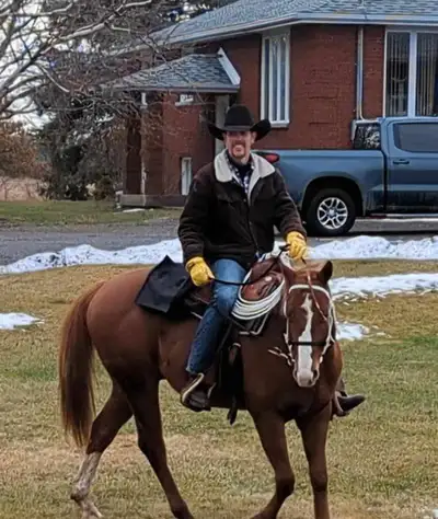 Horse Riding & Exercise Services, View more